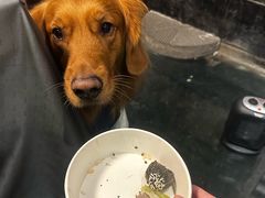 -鱼桥巷·美学川菜