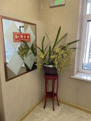 -伊美娜科技美肤中心