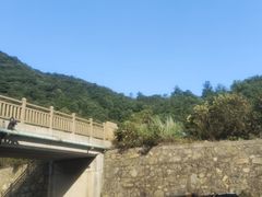-北仑森林植物园