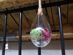 -薄荷小筑融合音乐餐吧(农业路店)