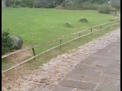 -龙川湾千岛湖国际垂钓中心