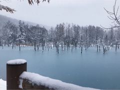 -青池
