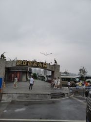 -恐龙探索乐园(磁器口店)