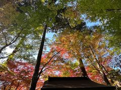 -三千院