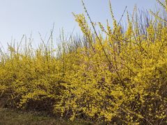 -森林公园(尖草坪区)