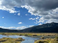 -腾冲北海湿地
