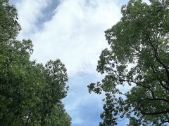 -吴淞炮台湾湿地森林公园烧烤区