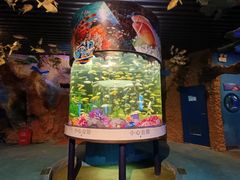 -洛阳龙门海洋馆