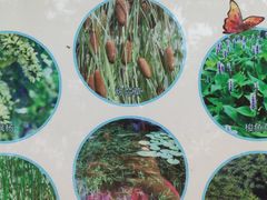 -昆山城市生态森林公园