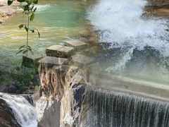 -广州白江湖森林公园