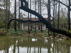 -山外山菜馆(玉泉路店)