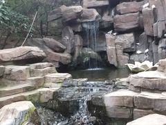 -燕塞湖鸟语林景区