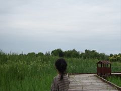 -西青郊野公园