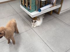 -全心全意动物诊疗中心医院(北苑店)