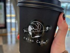 -Cetus coffee鲸鱼座咖啡·拼豆(二仙桥公园店)