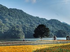 -广州市石门国家森林公园
