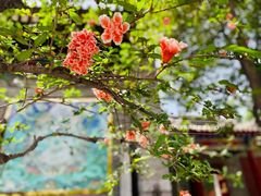 -西安市广仁寺