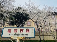 -武汉大学-樱园