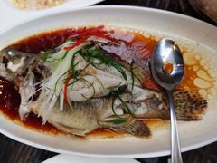 清蒸鲥鱼-走马楼饭庄(慈城古县城店)