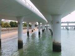 -演武大桥观景平台