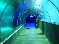 -北戴河圣蓝海洋公园