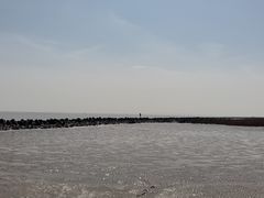 -南汇嘴观海公园