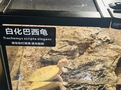 -太平洋海底世界