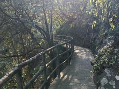 -石台牯牛降景区