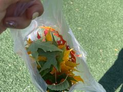 -椒爱水煮鱼川菜(皇姑万象汇店)