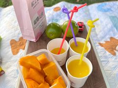 -光明小镇欢乐田园