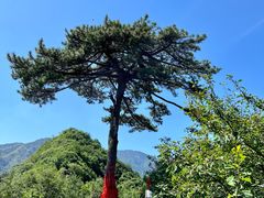 -秦岭终南山世界地质公园翠华山景区