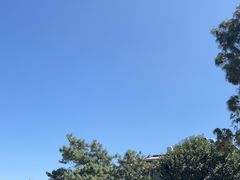 -云禾壹海景庄园餐厅