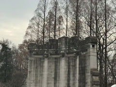 -音乐台