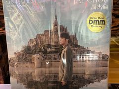 -树懒黑胶唱片店(中山路店)