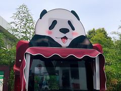 景点-成都大熊猫繁育研究基地