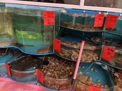 -四海蒸鲜蒸汽海鲜自助(北戴河店)
