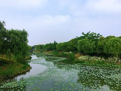 -尚贤河湿地