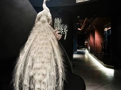 -滇野云南野生菌餐厅(陕西南路店)