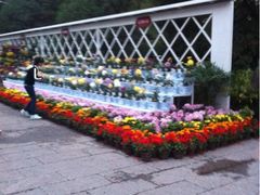 iphone_upload_pic-迎泽公园