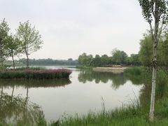 -东郊湿地公园