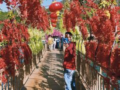 -野三坡刘家河高山漂流