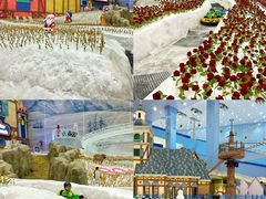 -广州热雪奇迹
