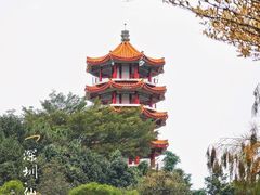 -深圳仙湖植物园