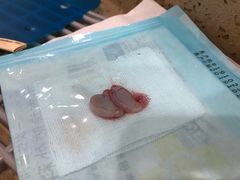 -伟伟宠物医院·CT影像中心·瑞派犬猫综合性门诊(汉口总院)