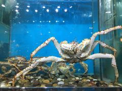 -海大大蒸汽海鲜餐厅·粤菜·特色小炒(欢乐颂店)