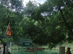 -缙云山景区