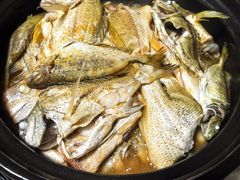 -福山迈臣农家乐