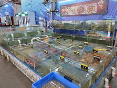 -明记海鲜大排档(巽寮湾店)