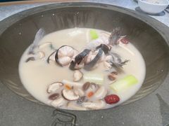 -滇色蒸汽石锅鱼(京华城店)