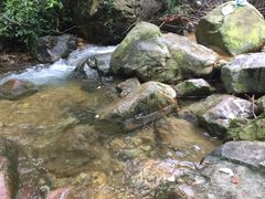 -牛鱼嘴原始生态风景区